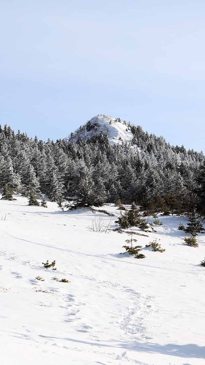 四阿山（あづま高原） （3月）｜北アルプスと浅間山を眺める雪の登山道