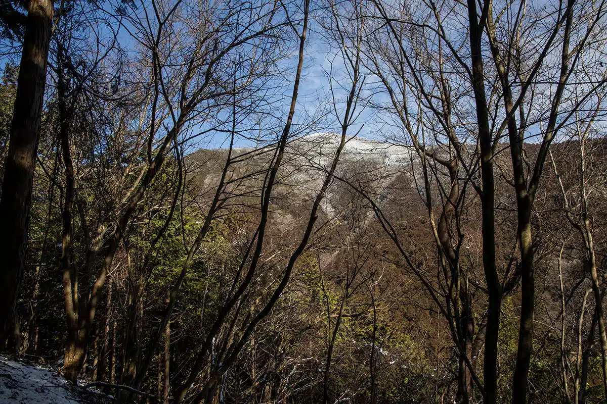 【武甲山登山】武甲山-山頂方向は白い