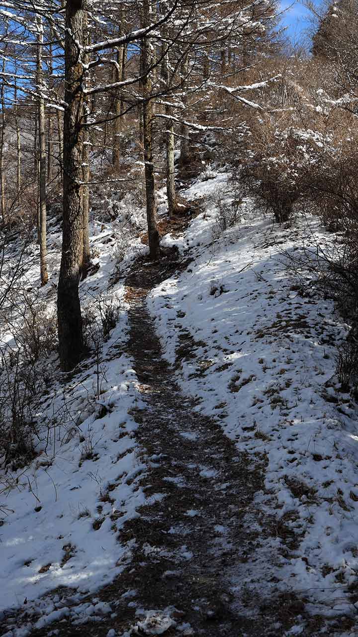 雪の武甲山 （3月）｜春雪の煌めきの中を登る
