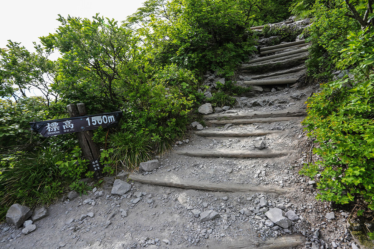 【鳥取の名峰】大山 （6月）｜夏山登山道を登る初心者向けルート-登山百景