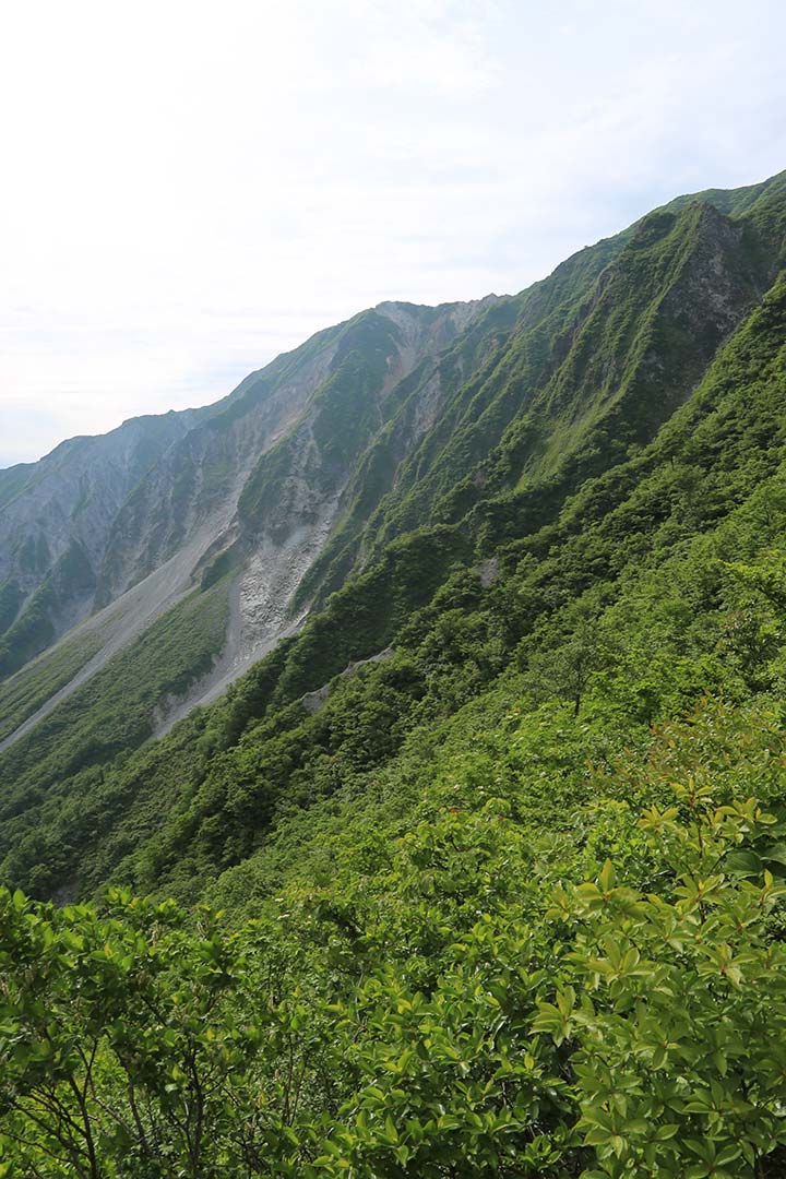 【鳥取の名峰】大山 （6月）｜夏山登山道を登る初心者向けルート