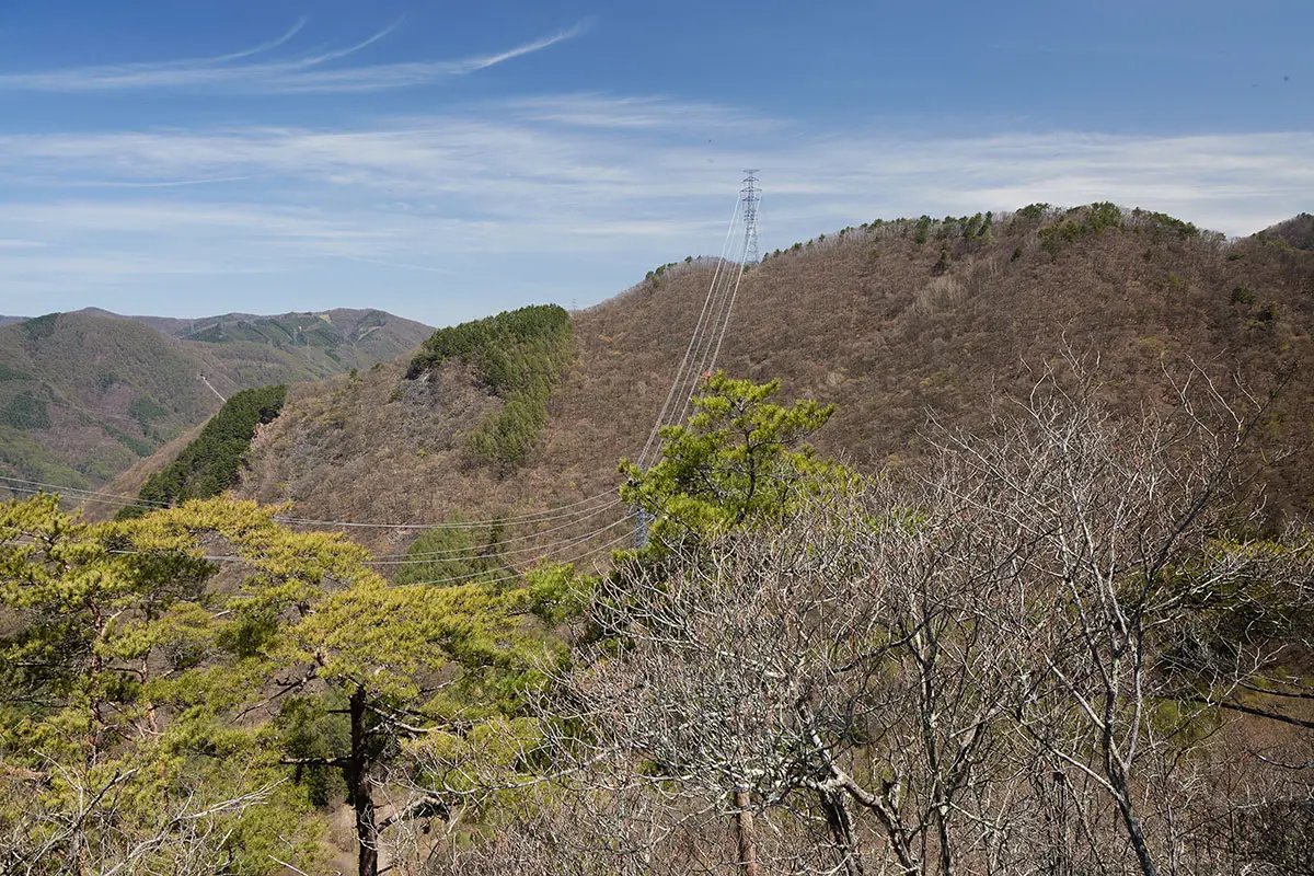 達磨山登山 達磨山-送電線の北側の尾根