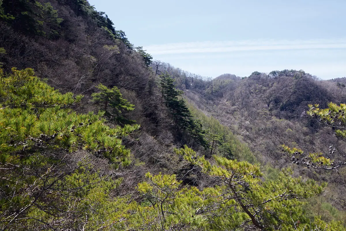 達磨山登山 達磨山-南側の尾根はなかなかに険しい