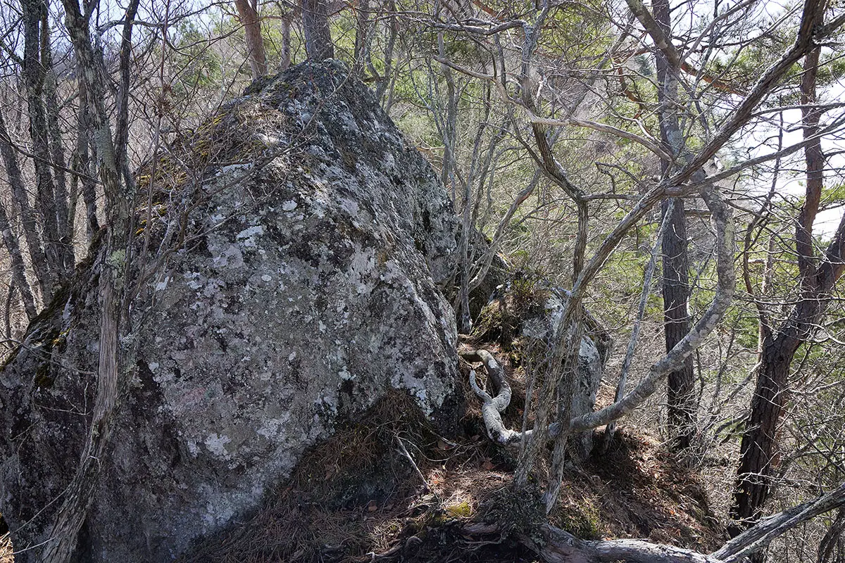 達磨山登山 達磨山-急斜面を登ると大きな岩