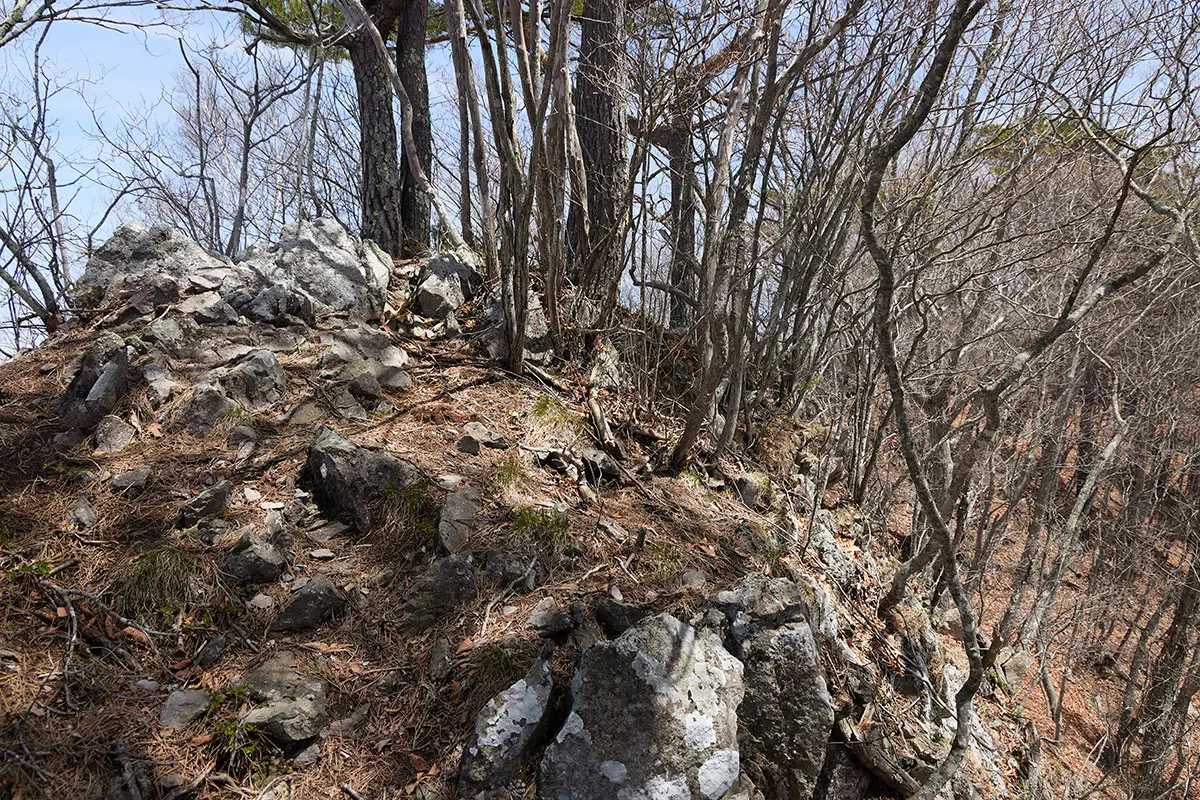 達磨山登山 達磨山-登り返したら狭くて岩ばかりのピーク