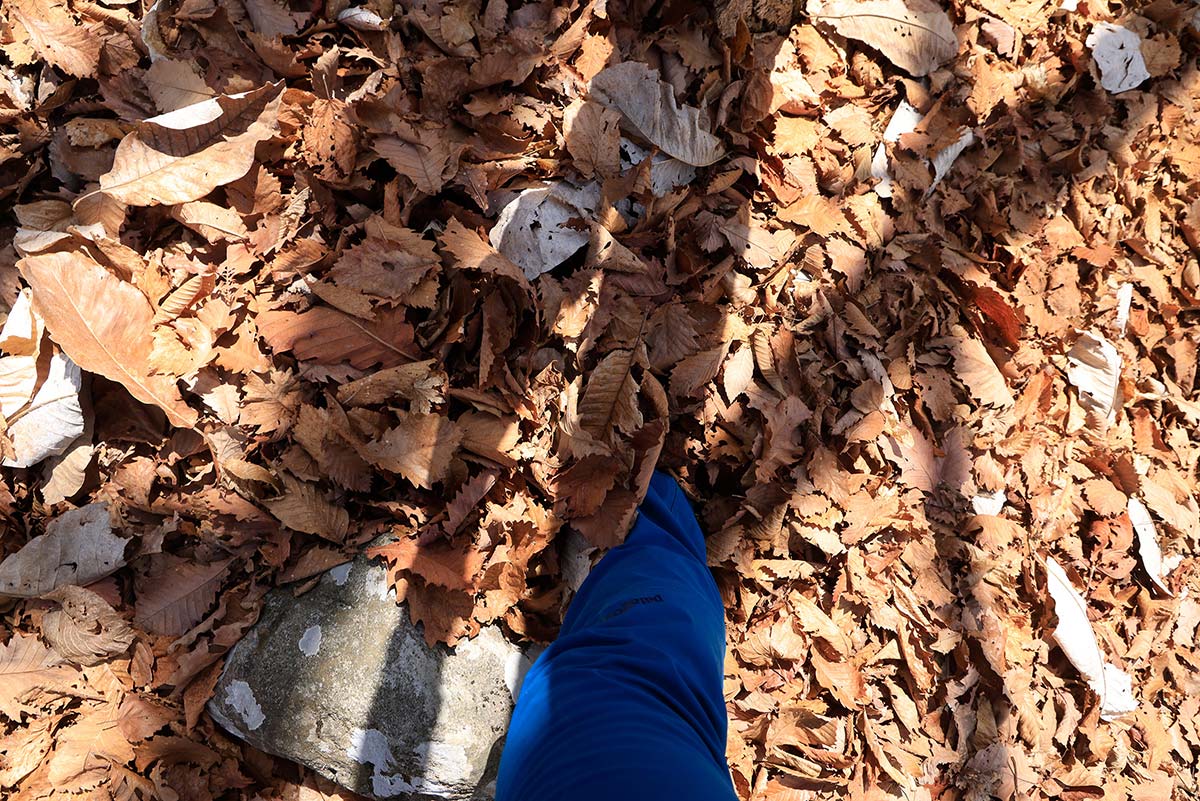 達磨山登山 にしても落ち葉が凄い