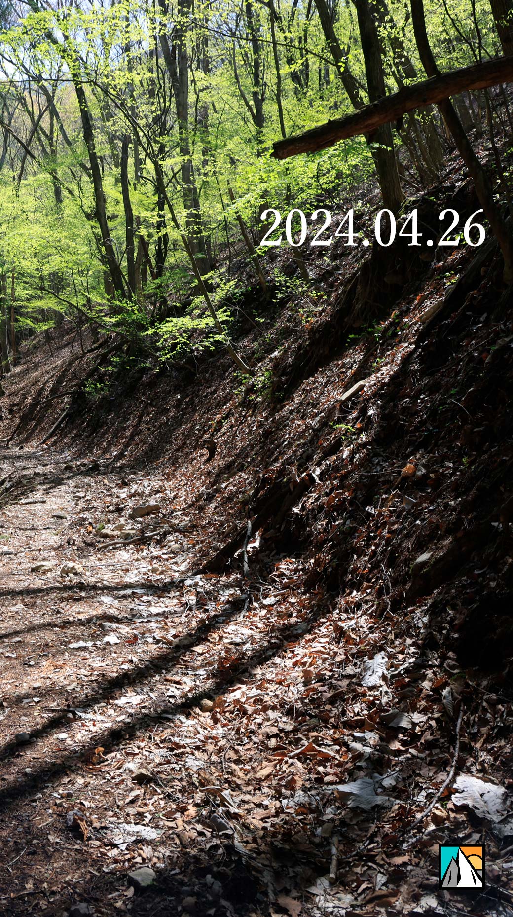 達磨山 真田本城
