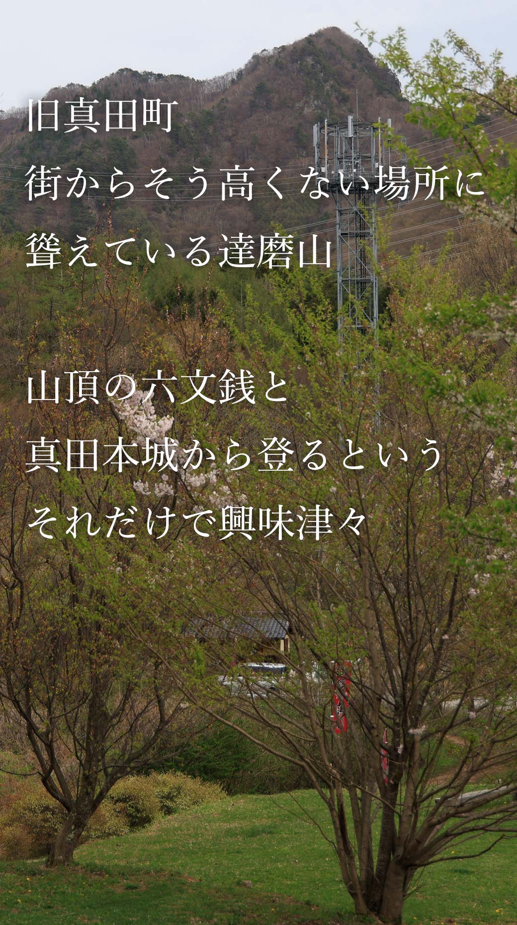 達磨山 真田本城