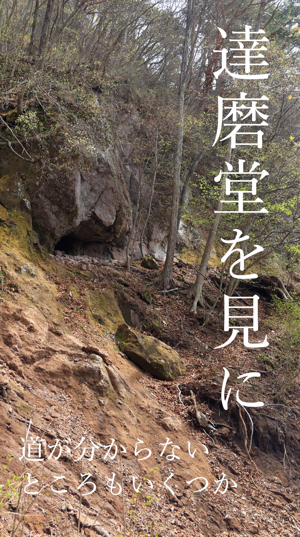 達磨山 真田本城