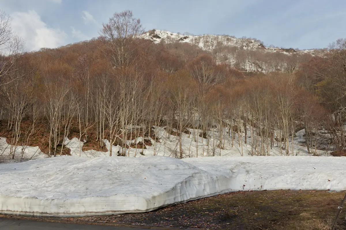 堂津岳登山 中西山を見上げる