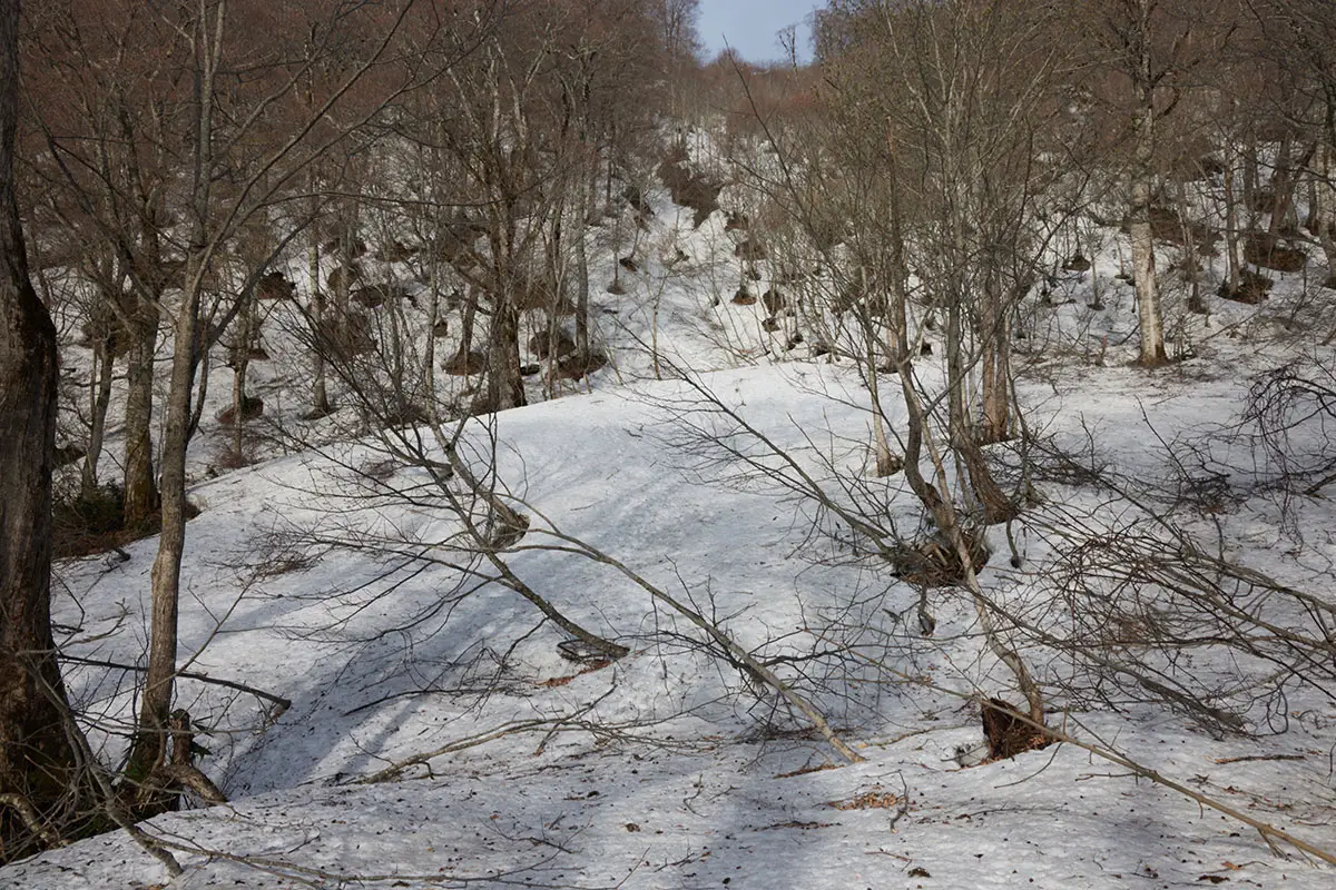 堂津岳登山 正面の壁のような登りを行く