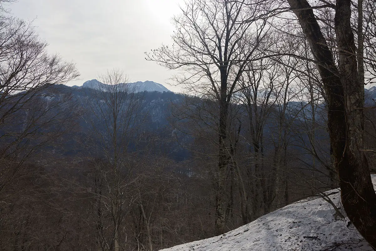 堂津岳登山 振り返ると高妻山が見えてきた
