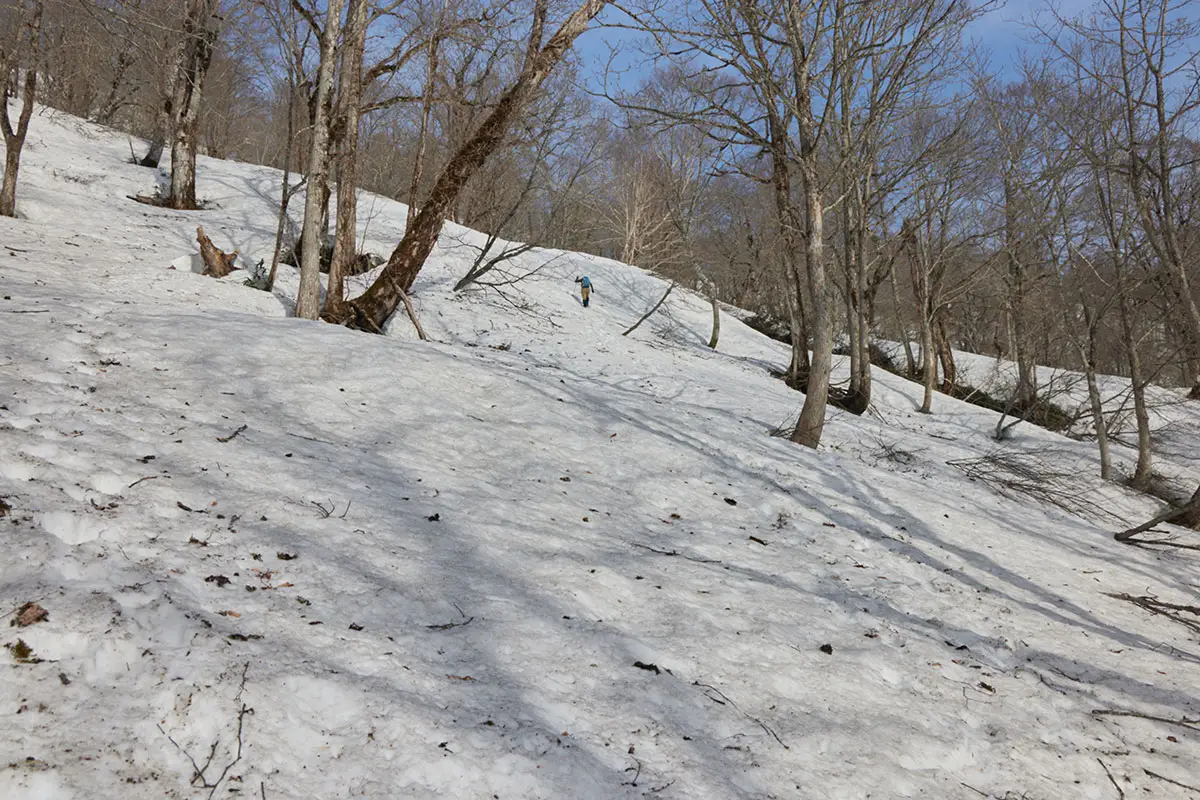 堂津岳登山 少し傾斜が緩まった