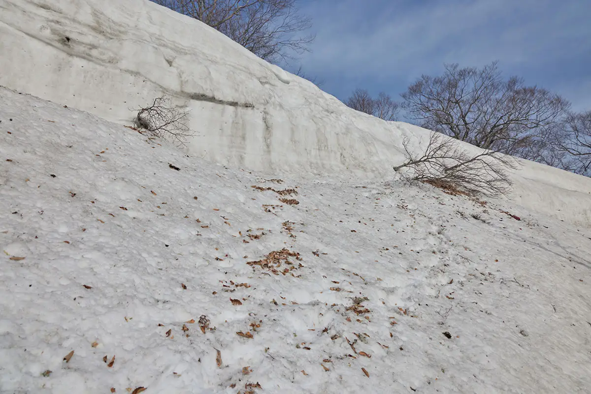 堂津岳登山 この壁を登ると稜線に出る