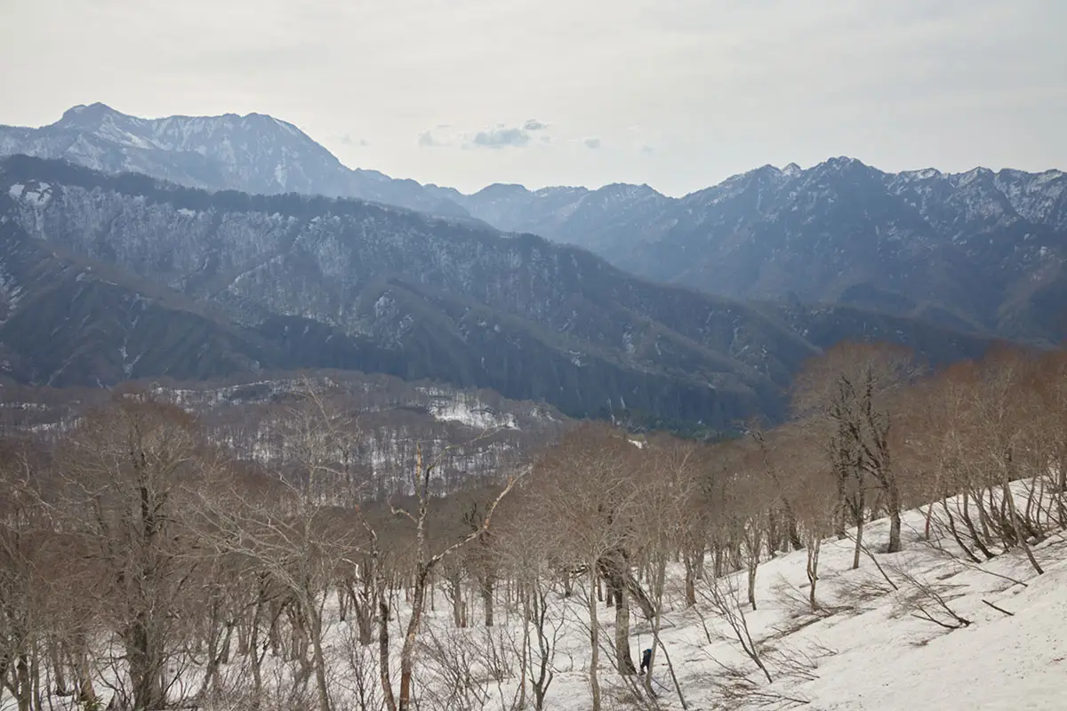 堂津岳登山 登ってきた斜面を見下ろす