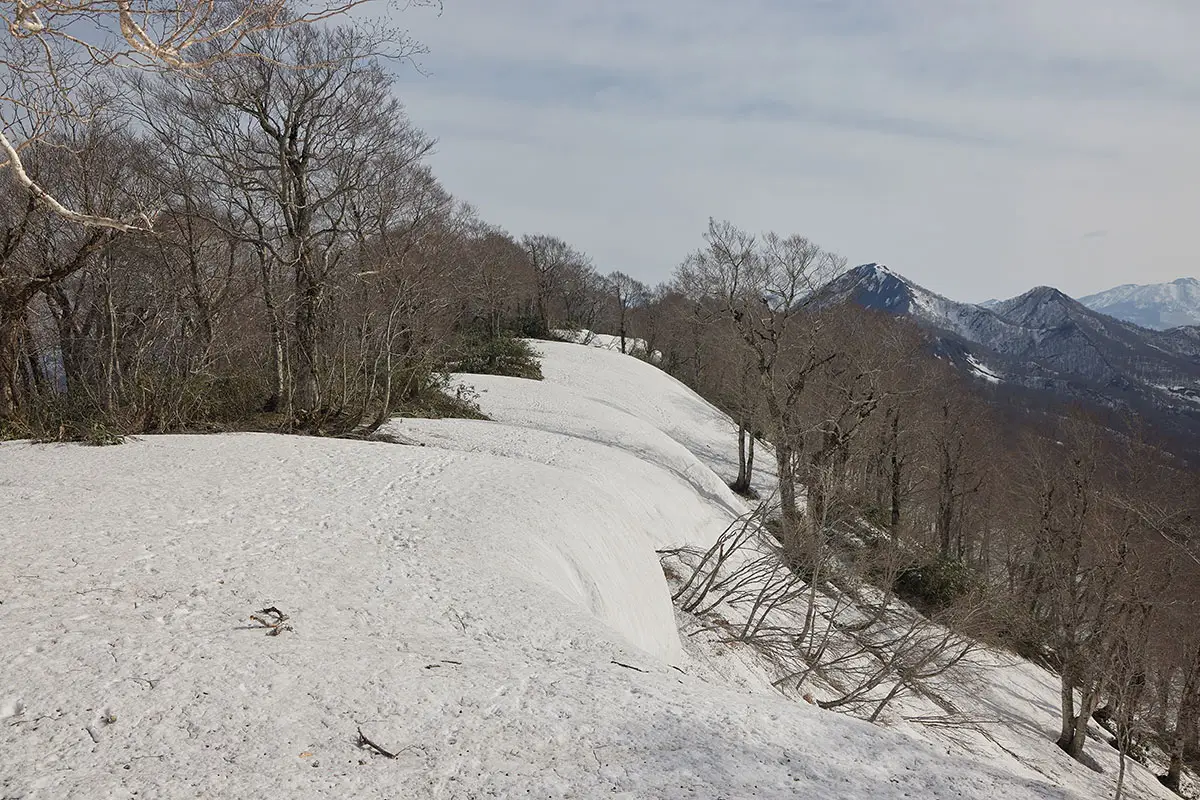 堂津岳登山 でこぼこと登ったり下りたりして横移動