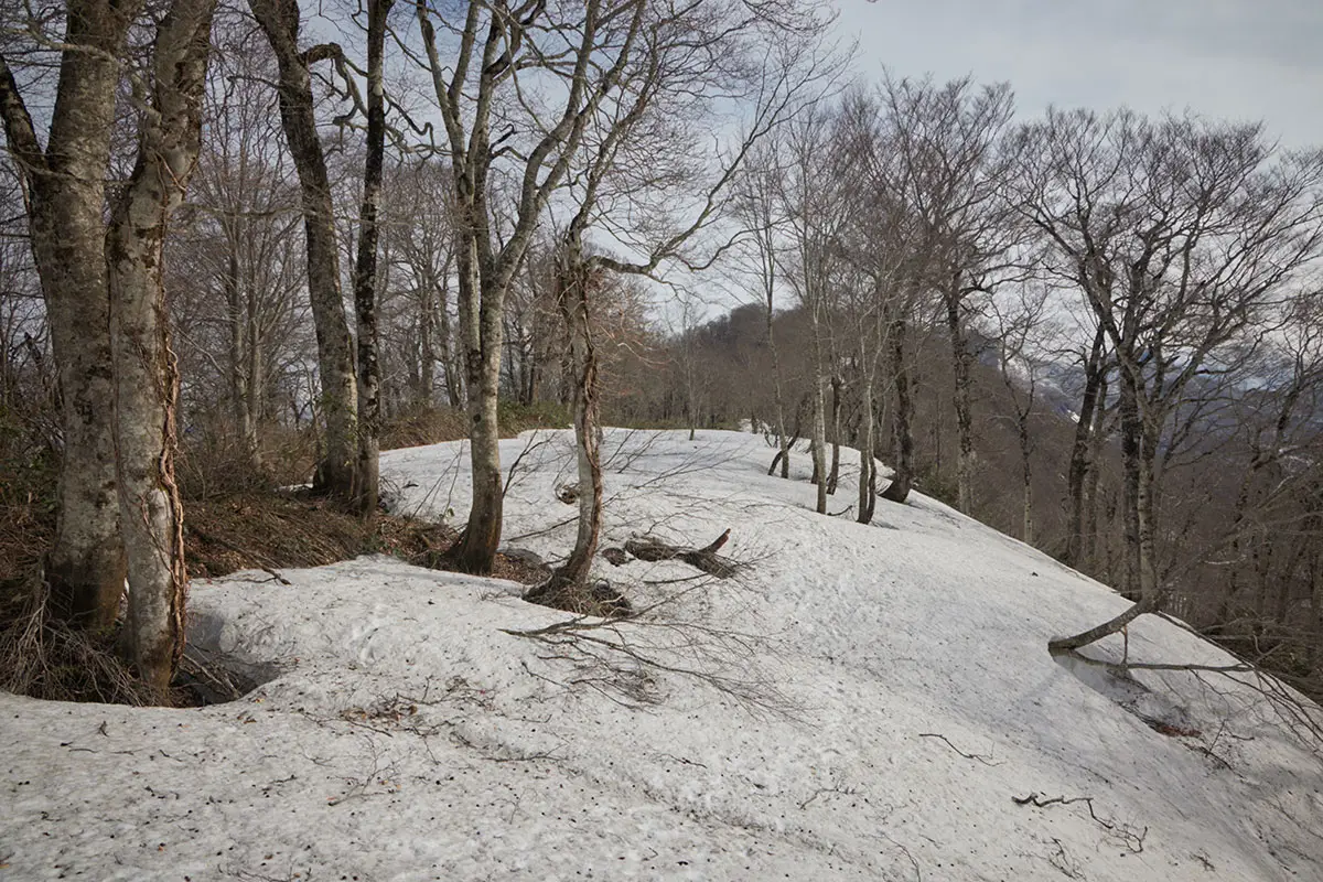 堂津岳登山 ときどき雪が切れているところがある