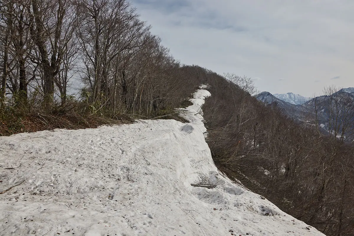 堂津岳登山 ずっと雪の上を歩く様子が変わらない