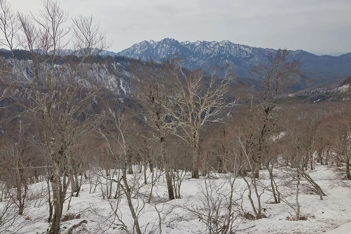 堂津岳登山 戸隠連峰の前には尾根