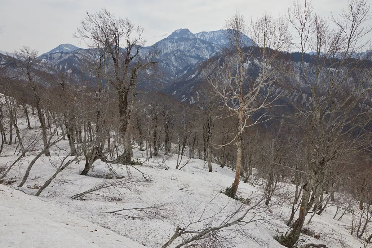 堂津岳登山 ずっと高妻山を見ている