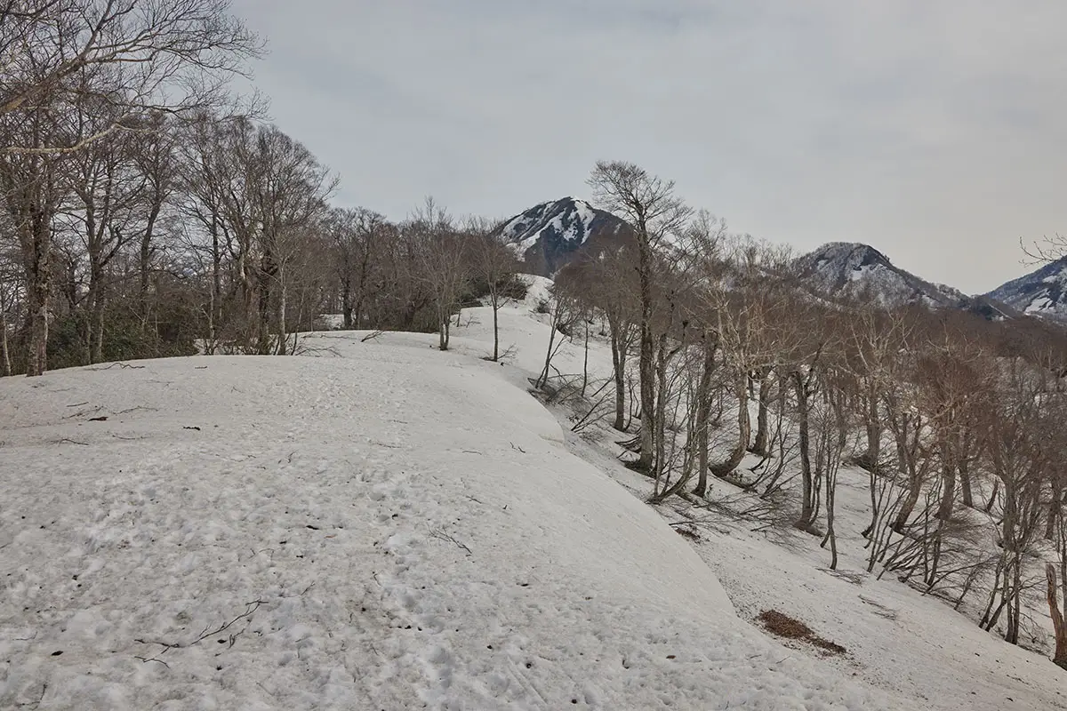 堂津岳登山 あの大きな山が堂津岳で良かった
