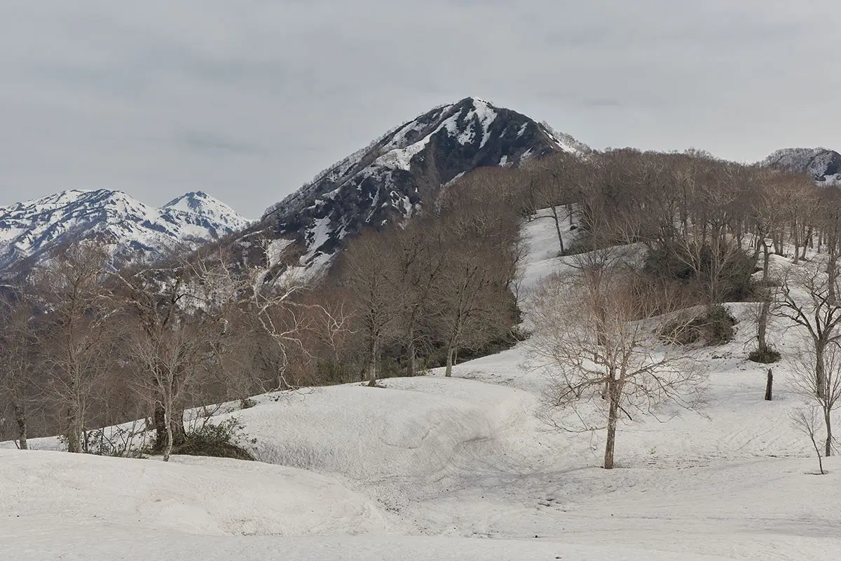 堂津岳登山 この先は堂津岳への登り