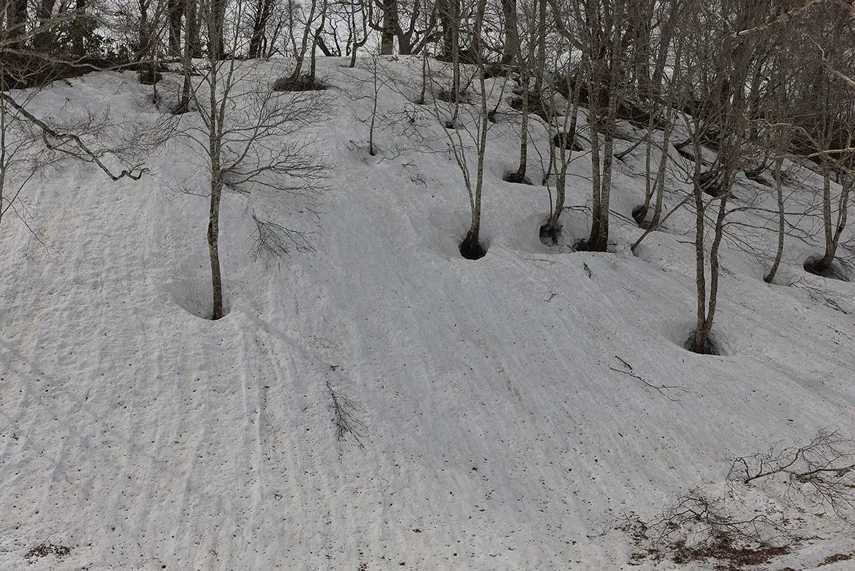 堂津岳登山 雪の斜面は模様がおもしろい
