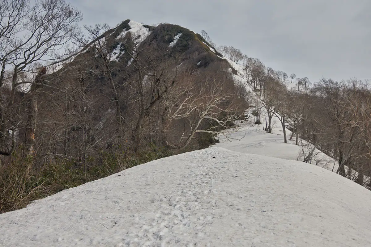 堂津岳登山 平坦になった先から一気に標高を上げる
