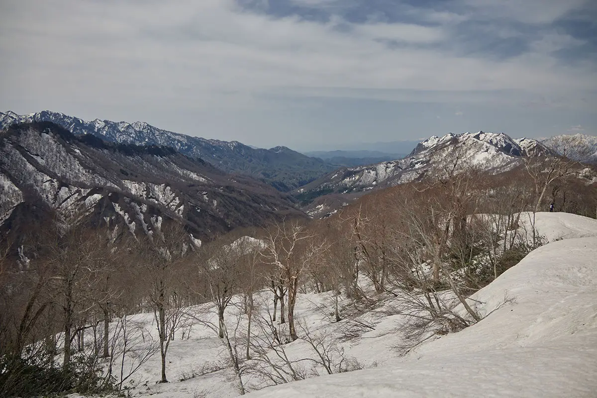 堂津岳登山 中西山の近くからだいぶ来た