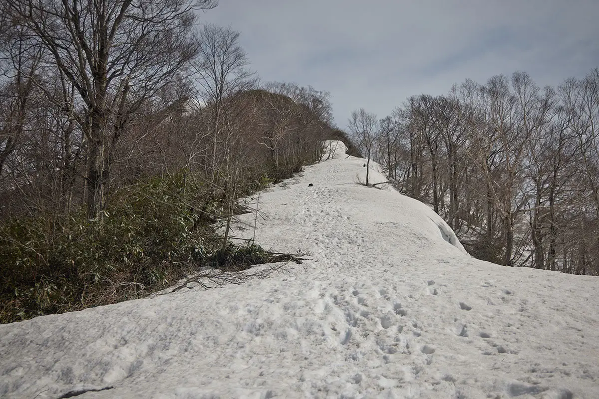 堂津岳登山 なんだか爺ヶ岳東尾根に似ている気がする
