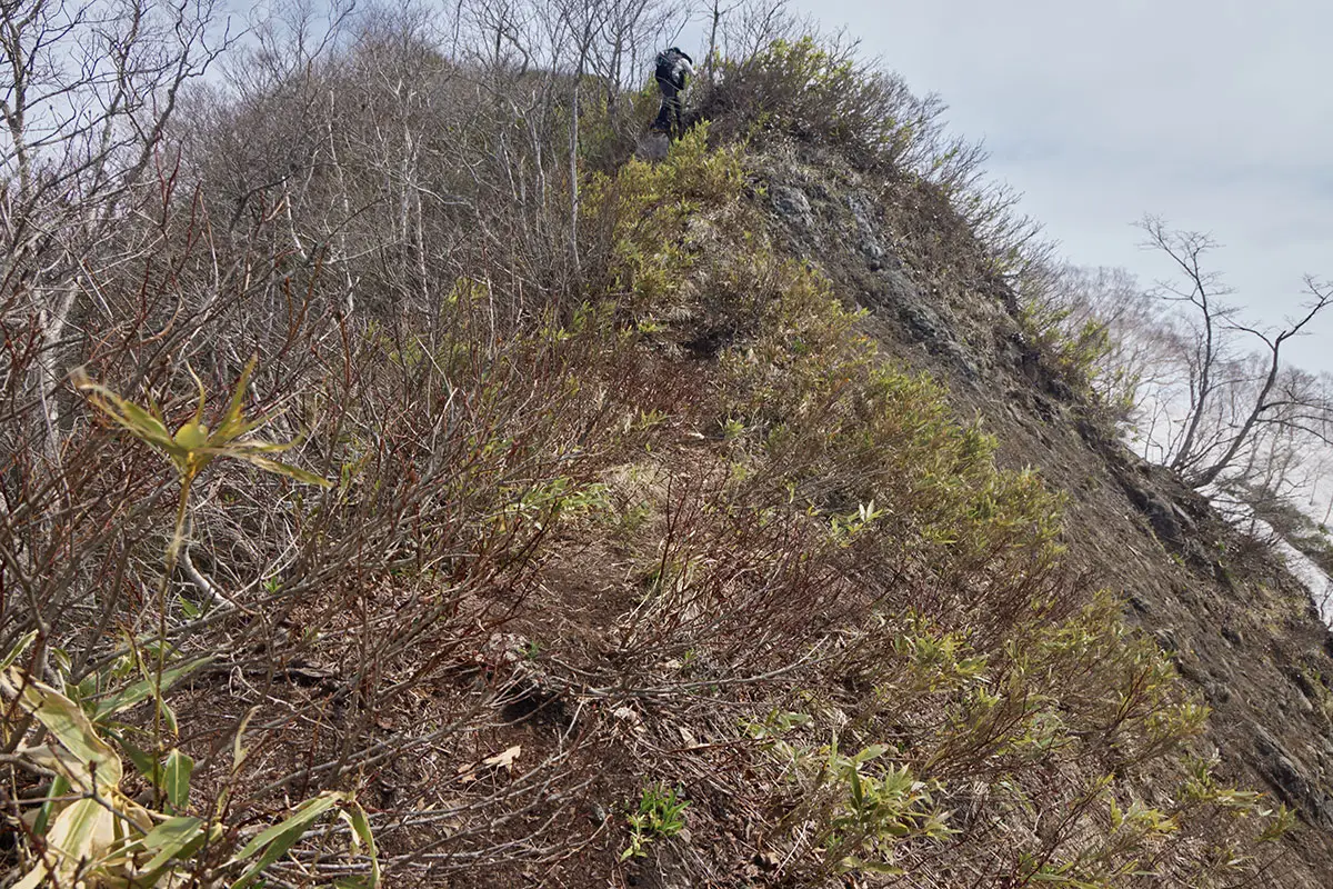 堂津岳登山 藪の急斜面