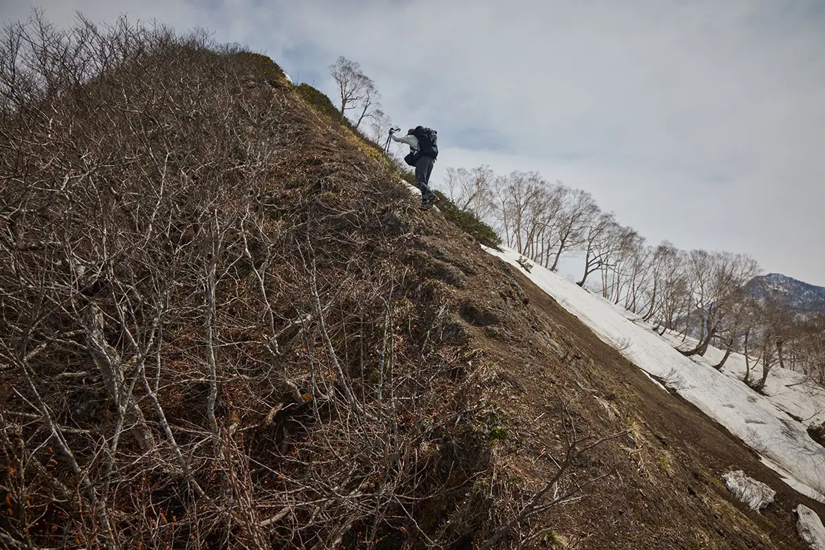 堂津岳登山 藪を抜けたら痩せ尾根