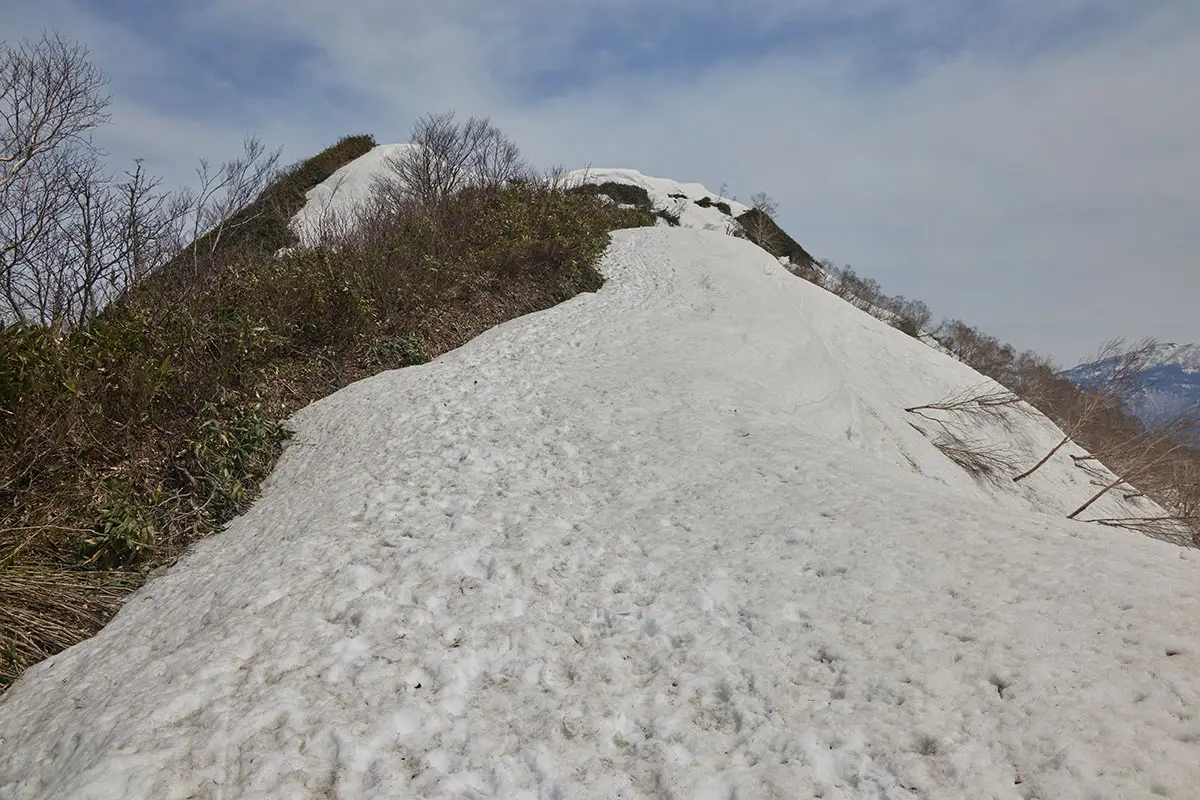 堂津岳登山 藪を抜けたら雪