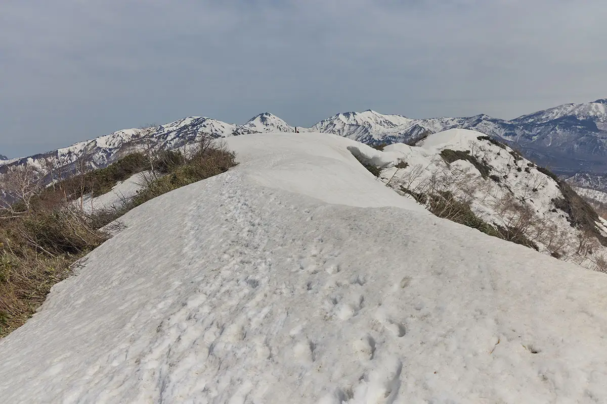 堂津岳登山 ここが山頂かと思ったら向こうだった