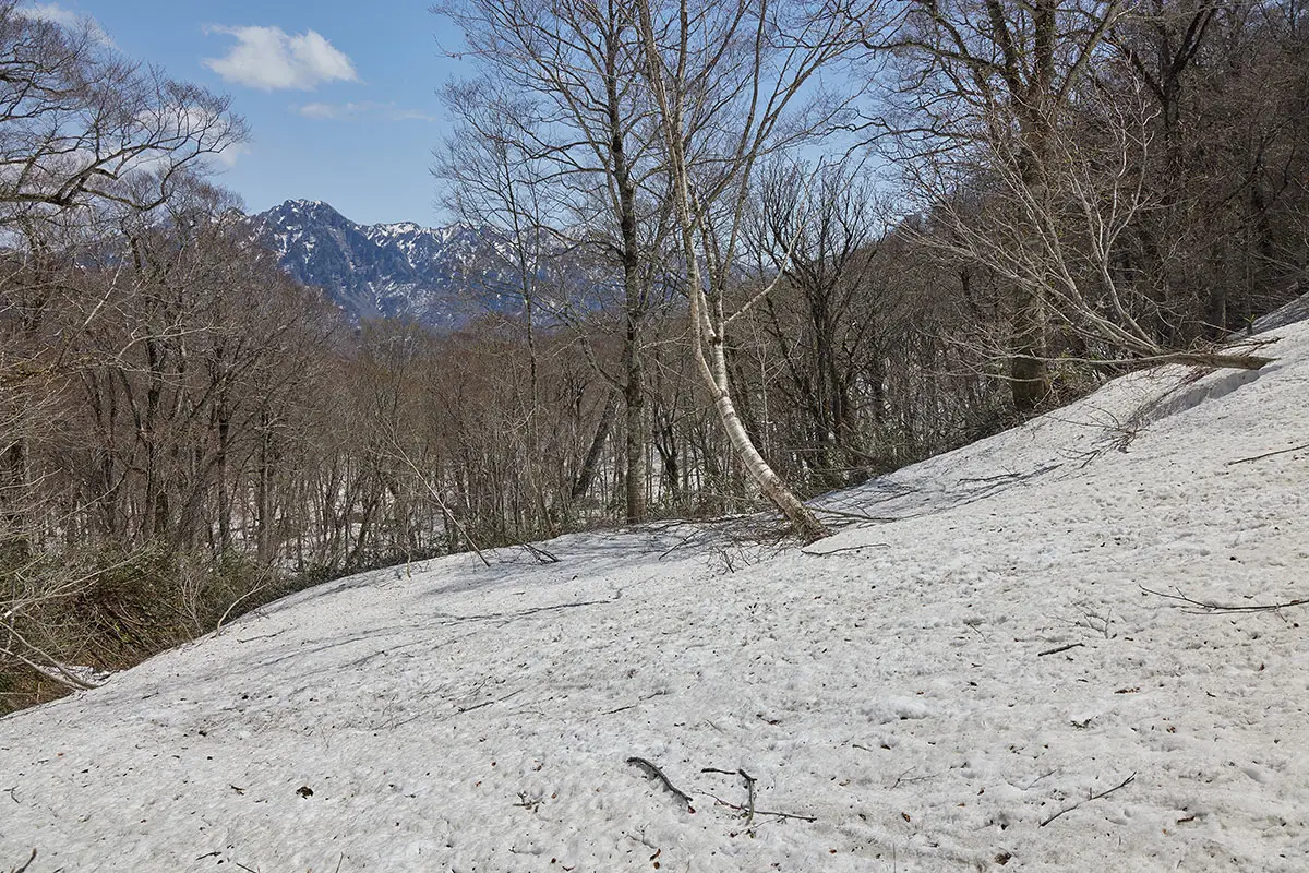 堂津岳登山 急な斜面を下り終えた
