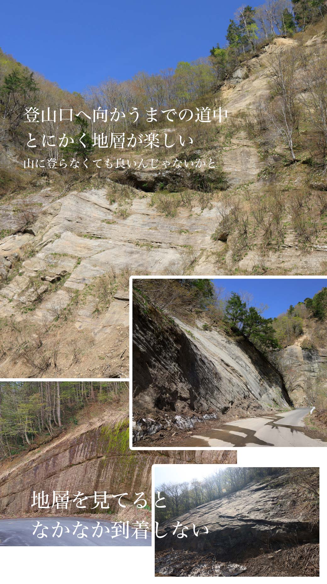 堂津岳 奥裾花自然園