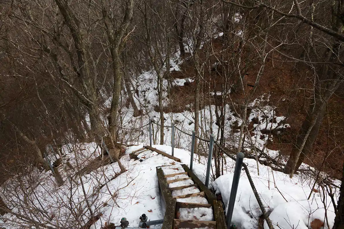 【五里ヶ嶺登山】五里ヶ嶺-整備されている階段は凍っている