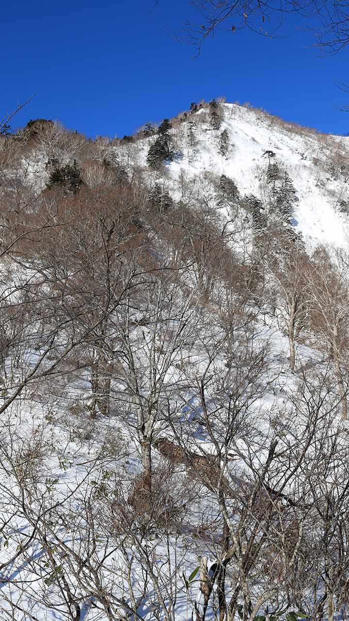 戸隠連峰バリエーションルート （1月）｜積雪期の五地蔵山東尾根