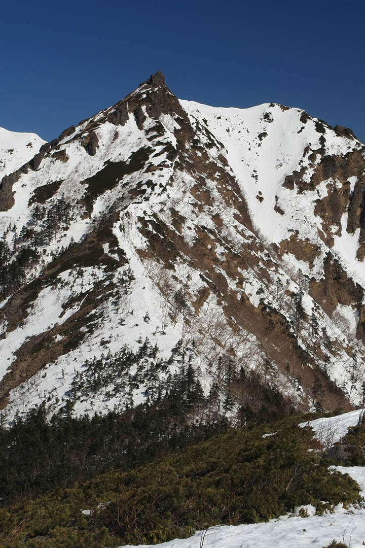 権現岳　残雪期登山（天女山） （4月）｜雪の急坂がキツイ！八ヶ岳南端の山