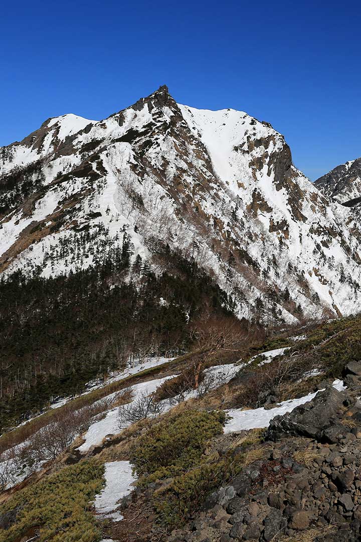 権現岳　登山 （3月）｜前三ツ頭から残雪期の南八ヶ岳を眺める