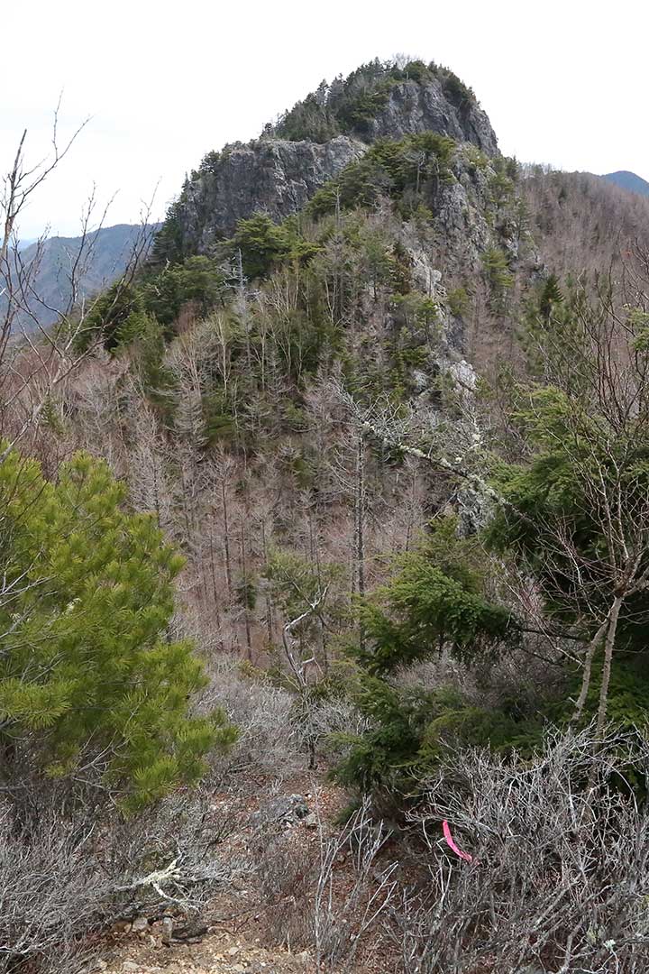 五郎山 登山（町田市自然休暇村） （5月）｜急登と連続する岩峰の山