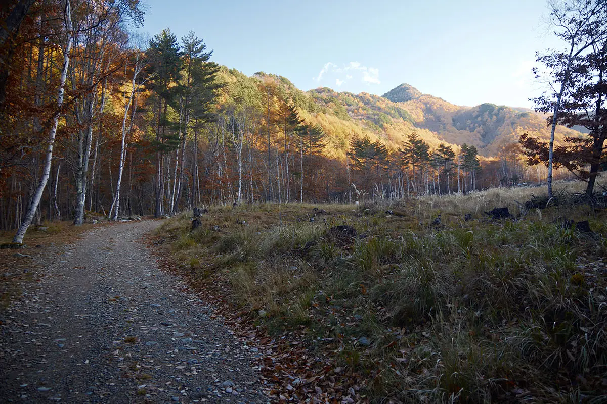 五郎山登山 林道の先に目指す五郎山が見える