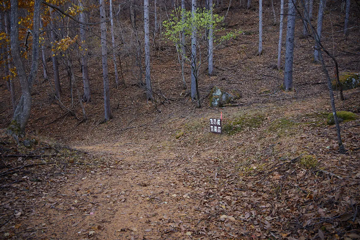 五郎山登山 幻の滝と五郎山の分岐