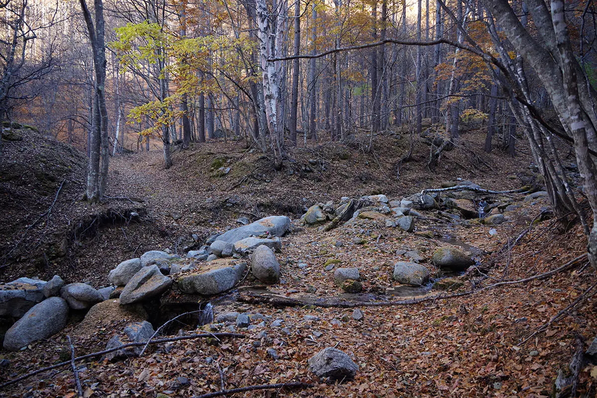 五郎山登山 沢を渡る