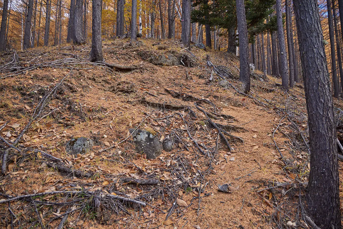 五郎山登山 急登が始まる