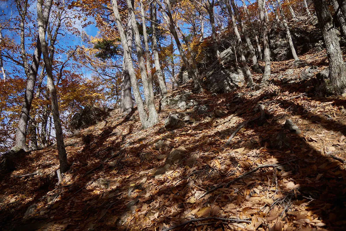 五郎山登山 急登の先に巨石