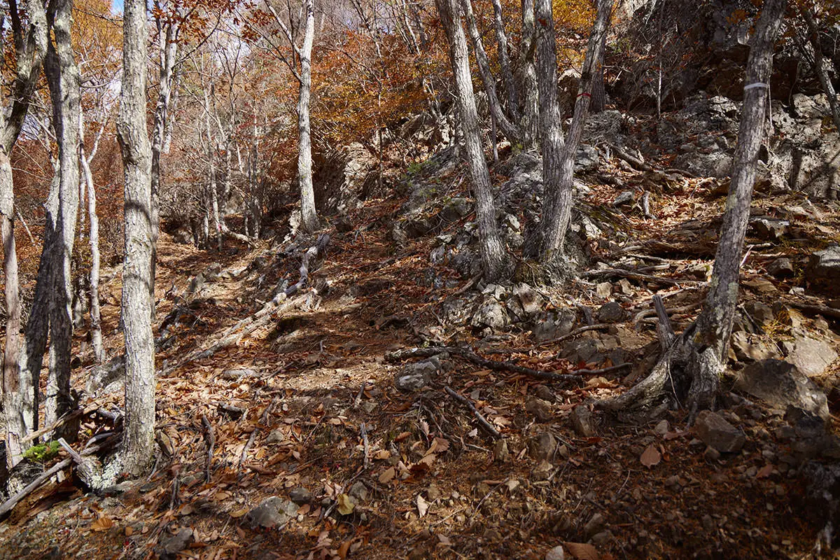 五郎山登山 巨石を過ぎると登山道の石も増える