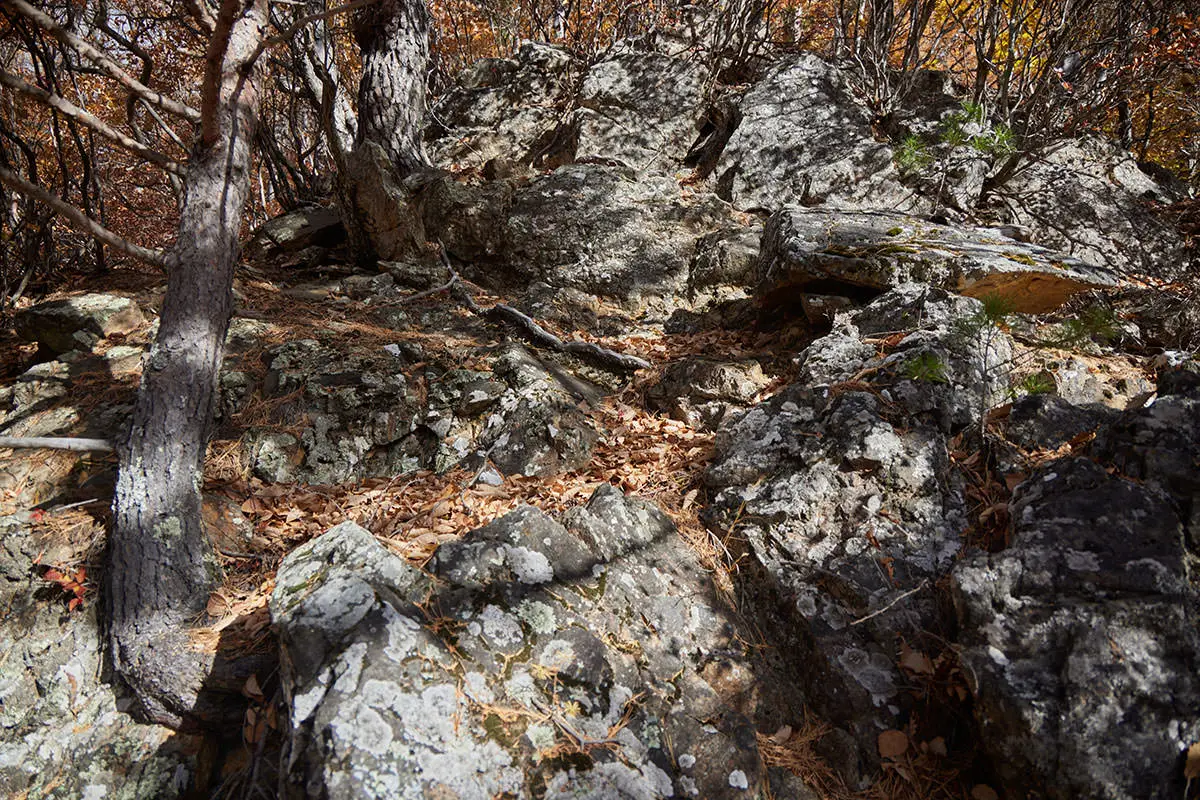 五郎山登山 石の上を登る