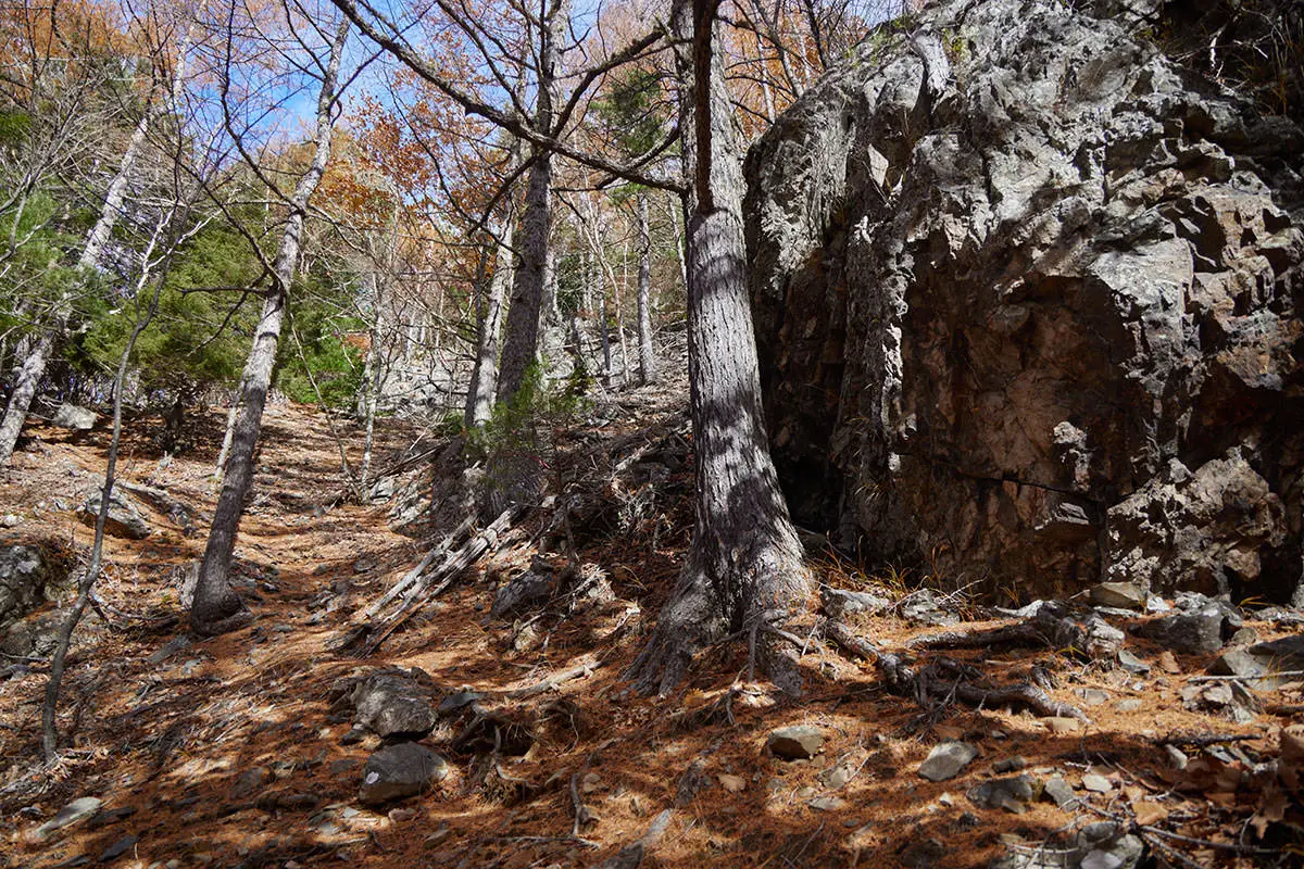 五郎山登山 巨石の脇を通って登る
