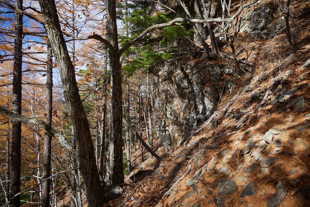 五郎山登山 斜面に埋まる巨石の上を登る